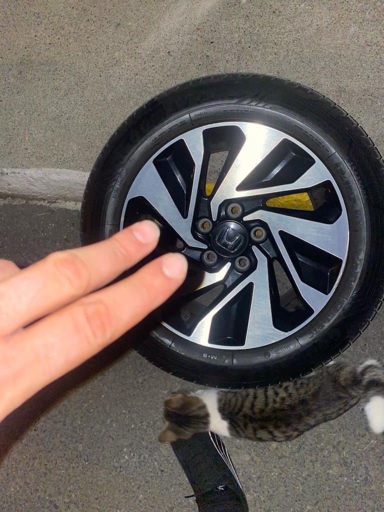 Honda civic orjinal 16 inç jant - 4