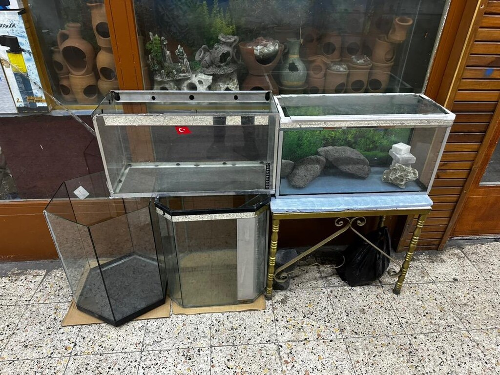 Akvaryum - 2