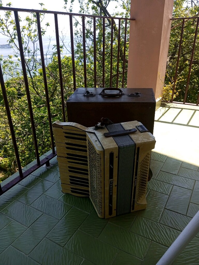 Antika Masif Ahşap Sandıklı Hohner Akardion (min. 110 senelik) - 3