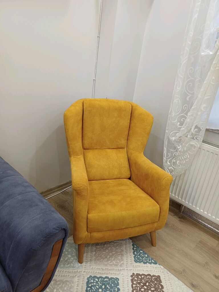 Tertemiz koltuk takımı - 5