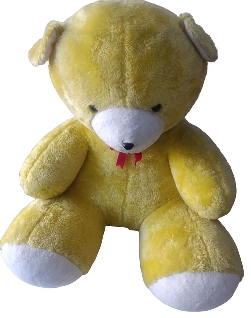 90 CM PELUŞ AYI - 5