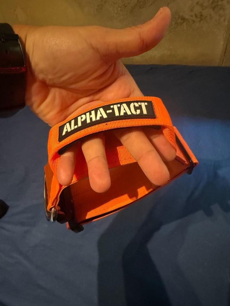 Alpha- Tach Turuncu Boyun Tasması - 2