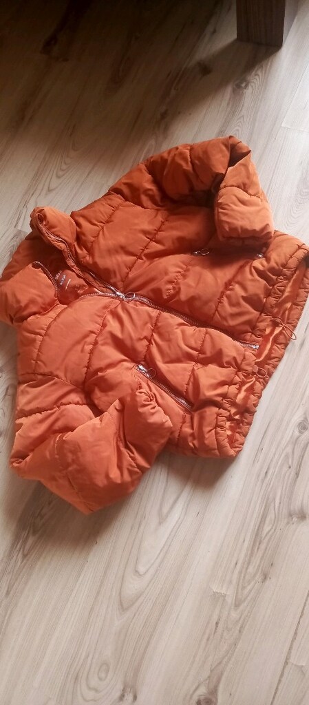 pul bear Mont — görsel 3/5