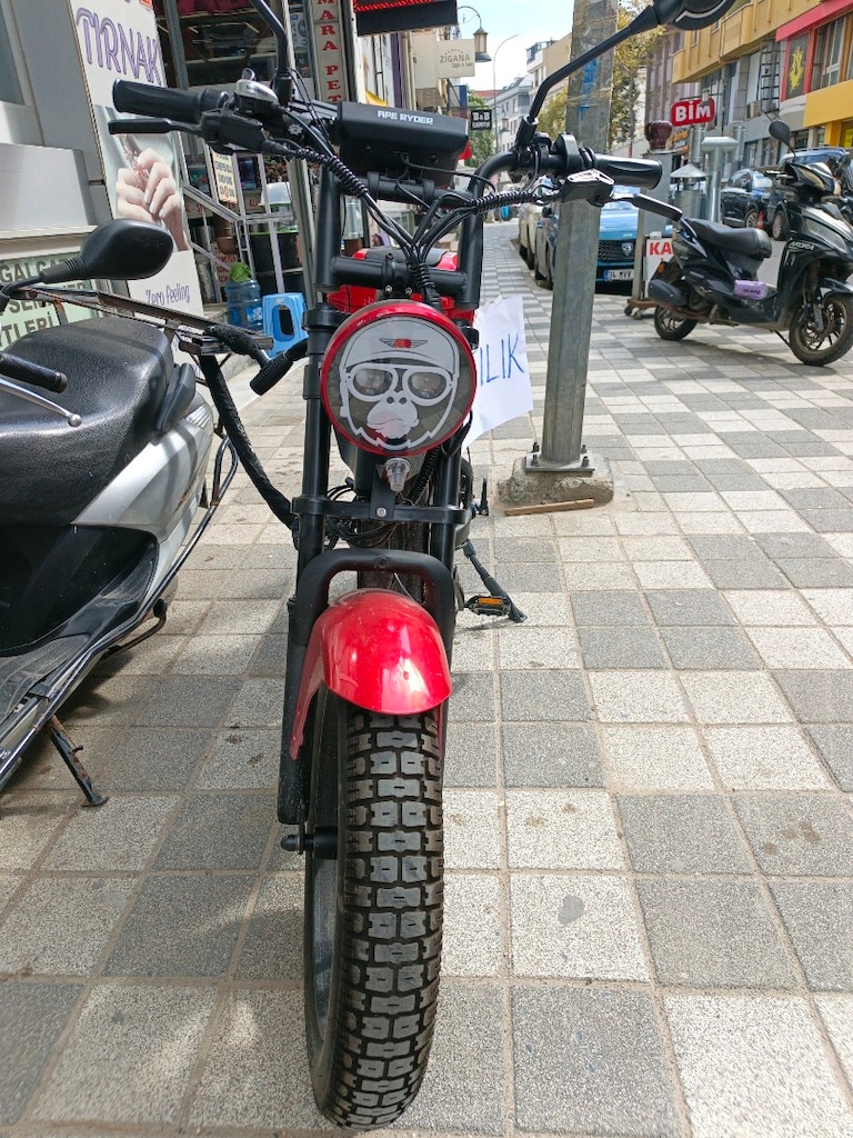 ape Ryder Gibbon ultra elektrikli bisiklet - 3