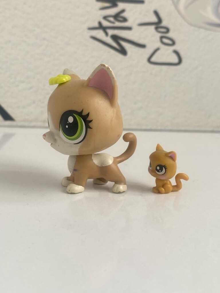 kedi minişler - 6