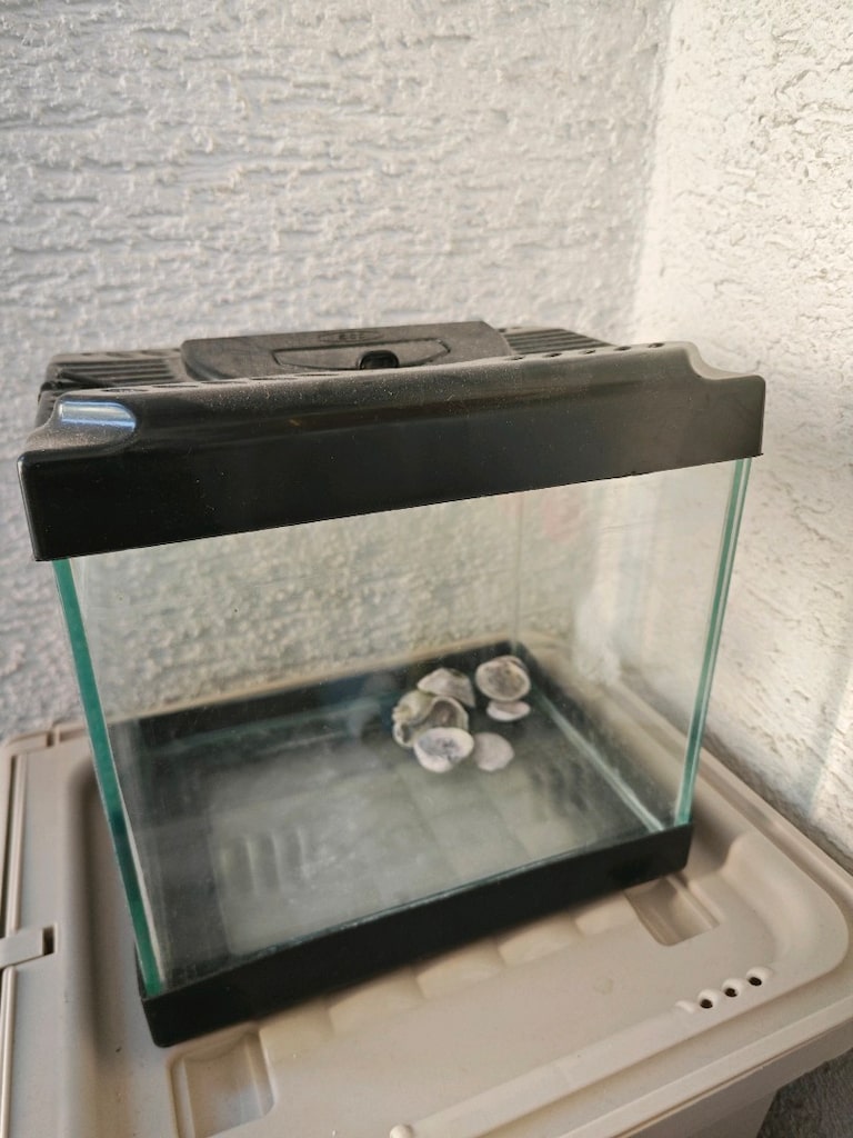 iki ayrı akvaryum - 4