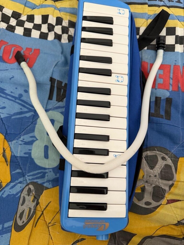 melodika - 3