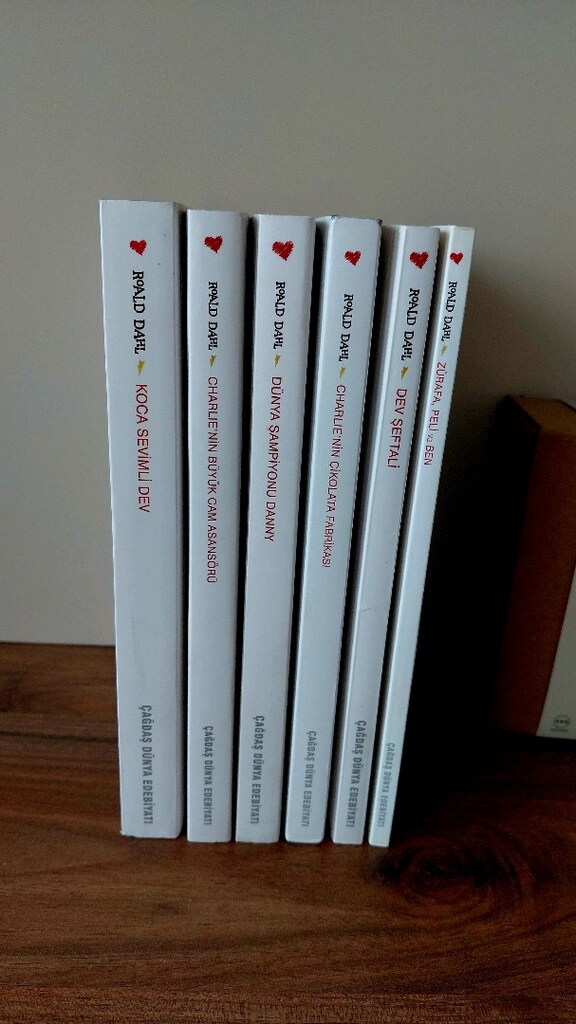 Rold Dahl 6 lı kitap seti - 3