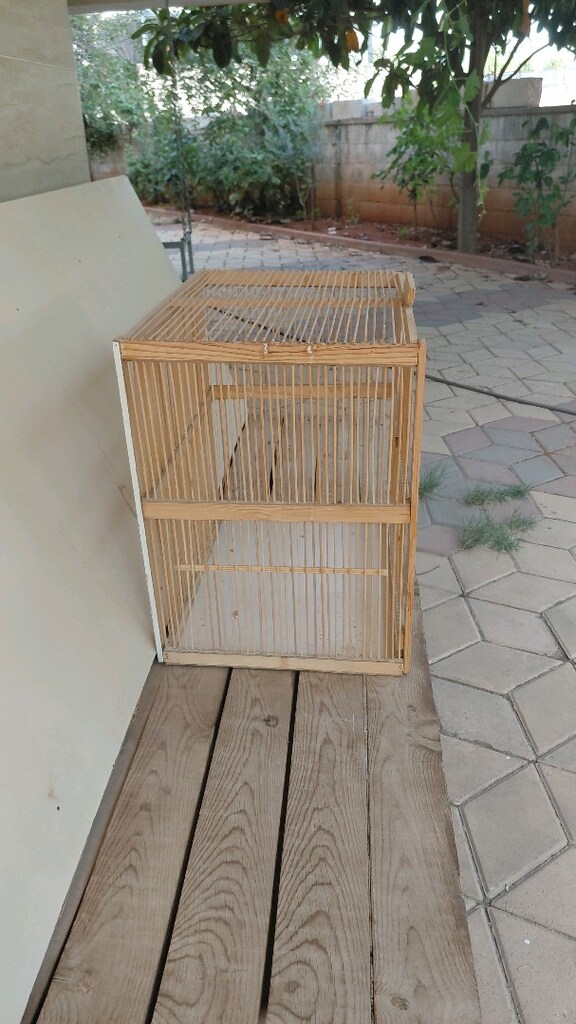bambu kanarya kafesi - 3