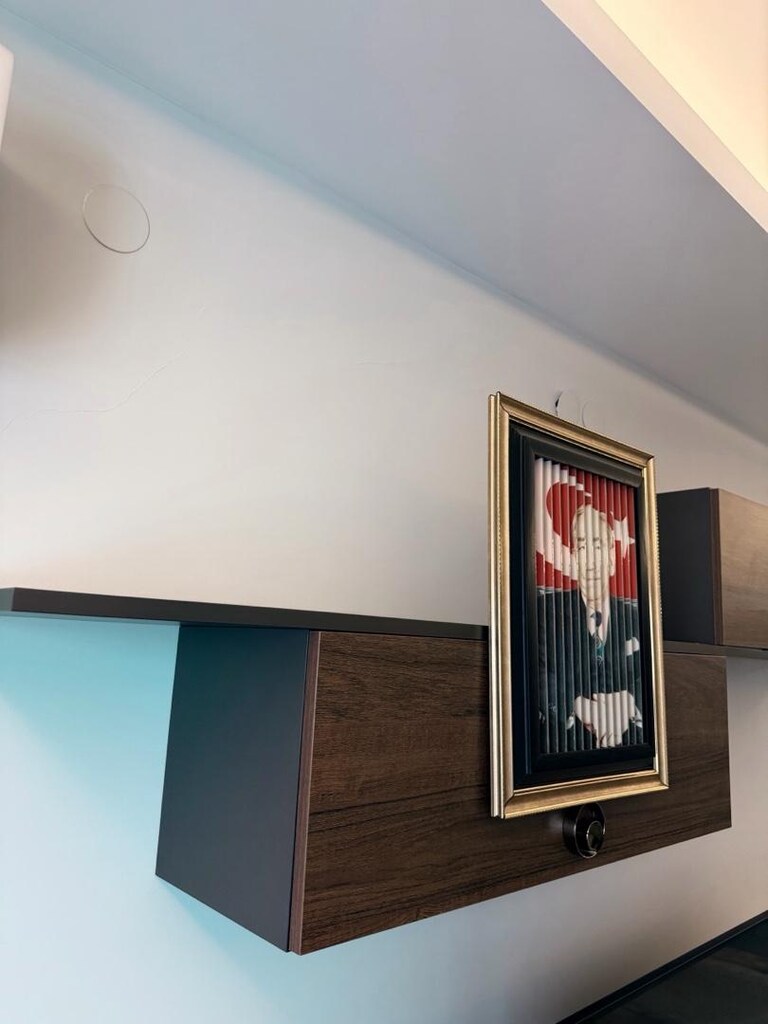 Bozkurt görünümlü 3 farklı görünümlü Koleksiyonluk tablo - 6