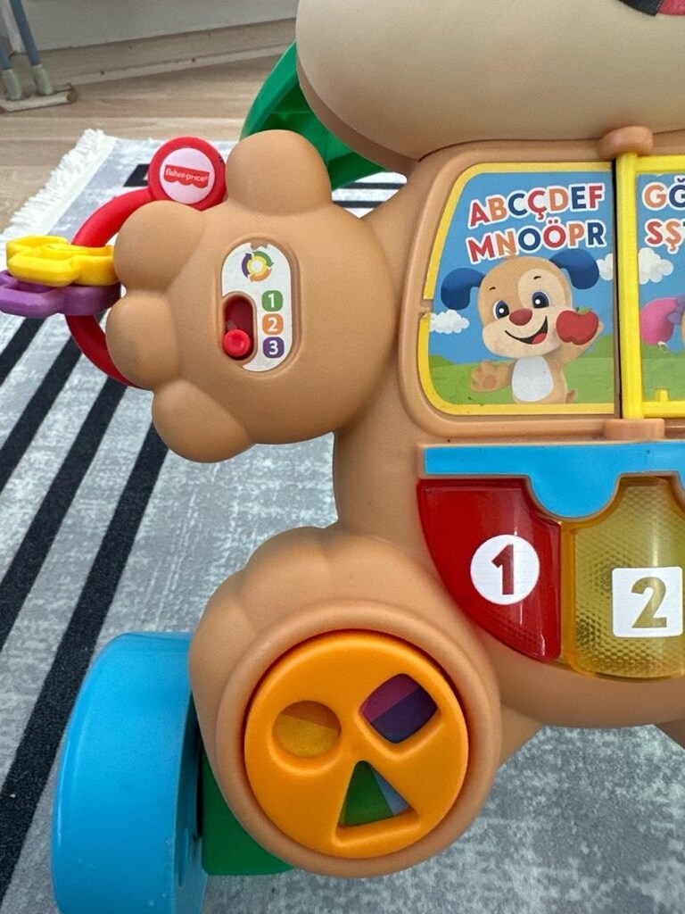 Fisher Price Köpekçik Yürüme Arkadaşı - 2
