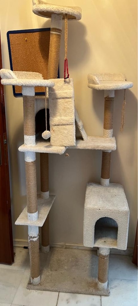 kedi evi - 2
