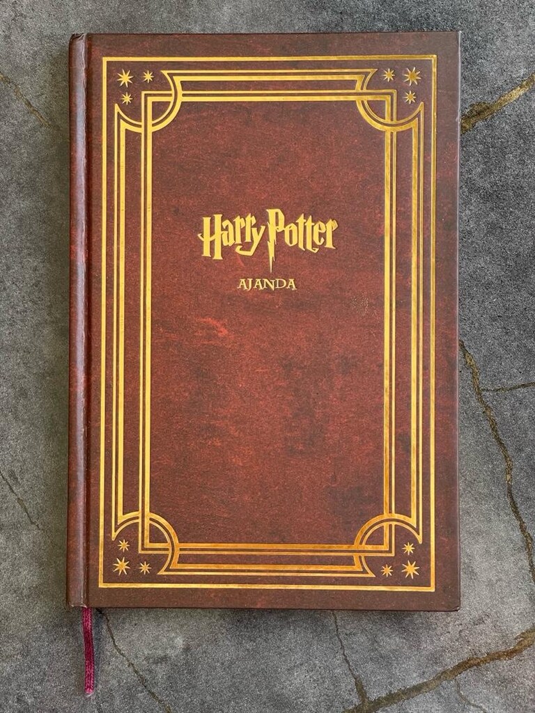 Mösyö Taha - Harry Potter Ajanda 2021 Yılı - 3