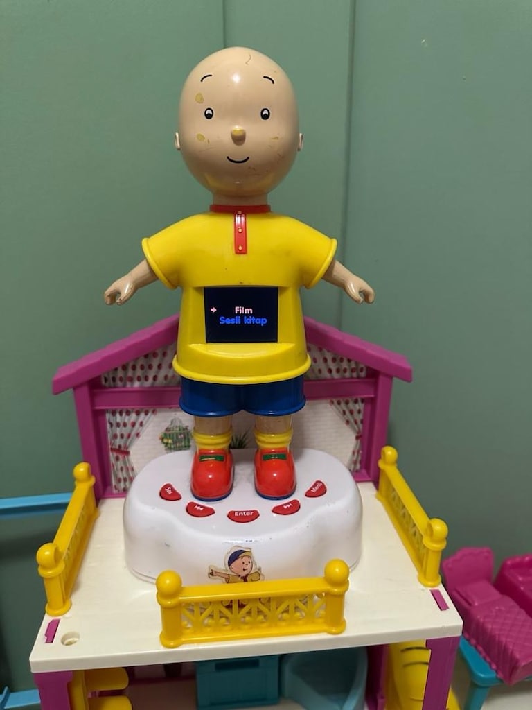 Calico Caillou TV eğitici oyuncak - 8