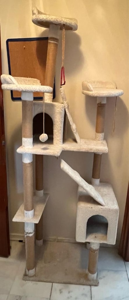 kedi evi - 8