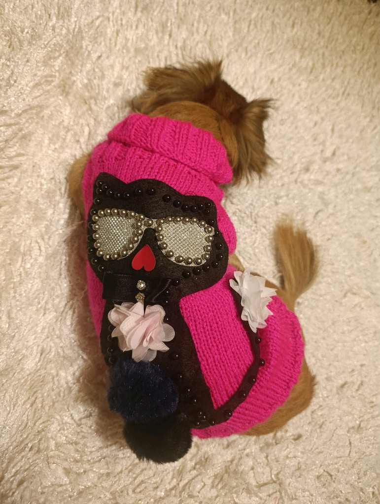 kedi köpek kazak - 12