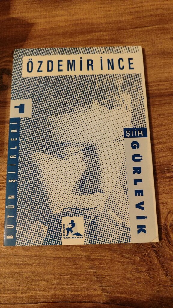 ilk basım nadir kitaplar şiir roman - 7