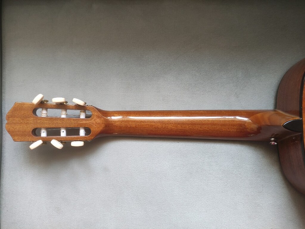 Epiphone PRO-1 2.0 Klasik Gitar - 6