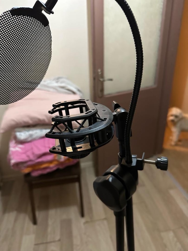 Lewitt LCT 440 Pure (Çok Temiz)+ Manyetik Pop Filter & Mikofon standı - 4