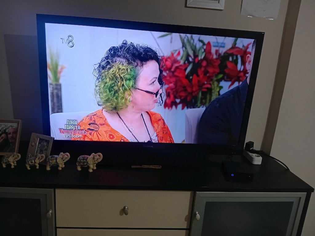 en 100 cm yükseklik 60 cm bakım gerekiyor