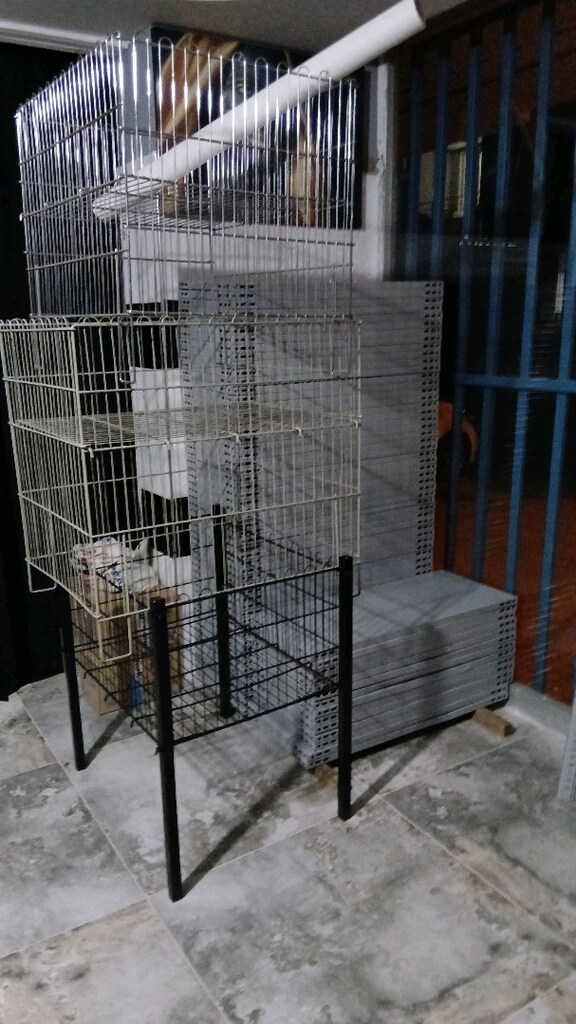 Vidalı Terek - 2
