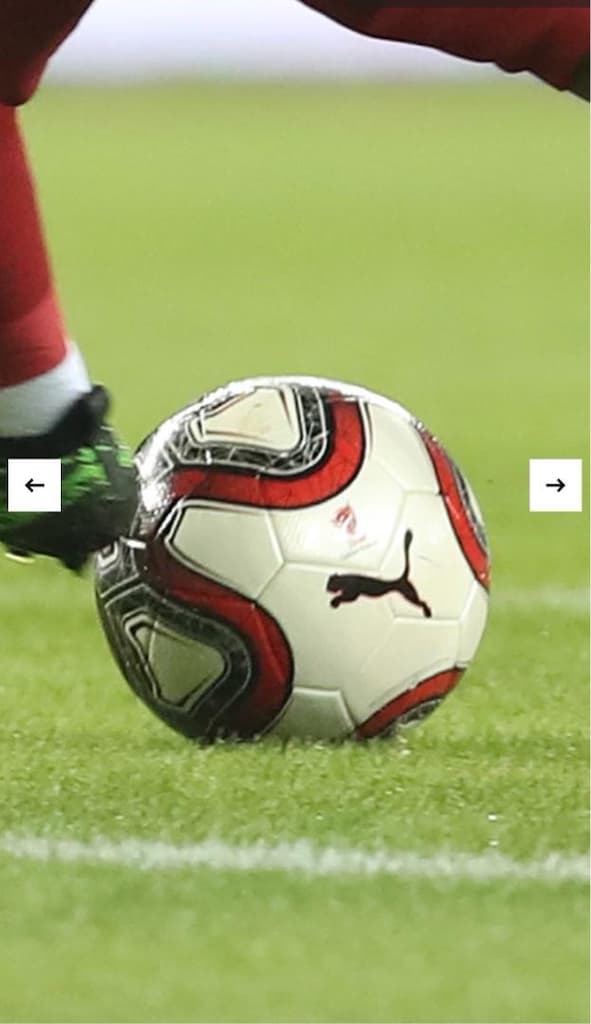 Galatasaray 2019 kadro imzalı ziraat kupası finali topu (FATİH TERİM) - 2