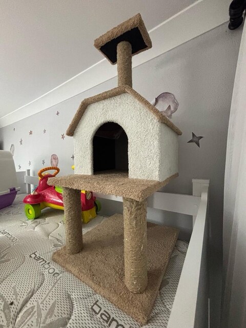 Orta Boy Kedi Evi