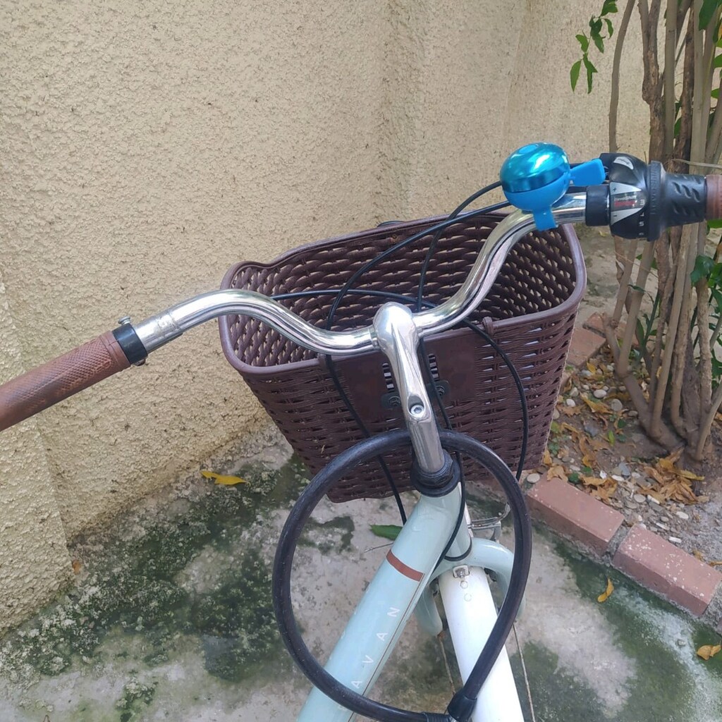 3 Tekerlekli Sıfır Bisiklet ( Carraro Marka) - 14