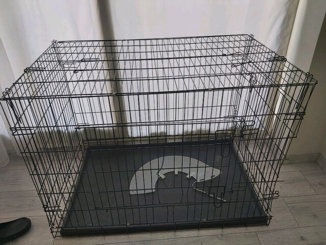 kedi köpek kafesi