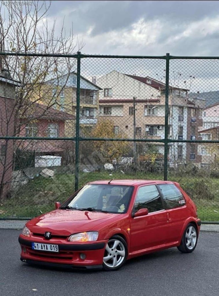 fındık faresi - 8