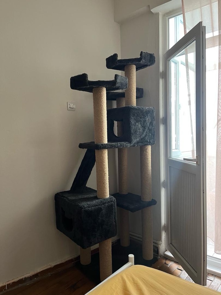 kedi kulesi - 3