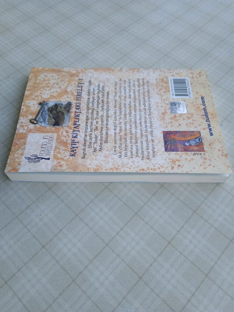 Kayıp Kitaplıktaki İskelet 1 Mavisel Yener Aytül Akal Kitap - 2