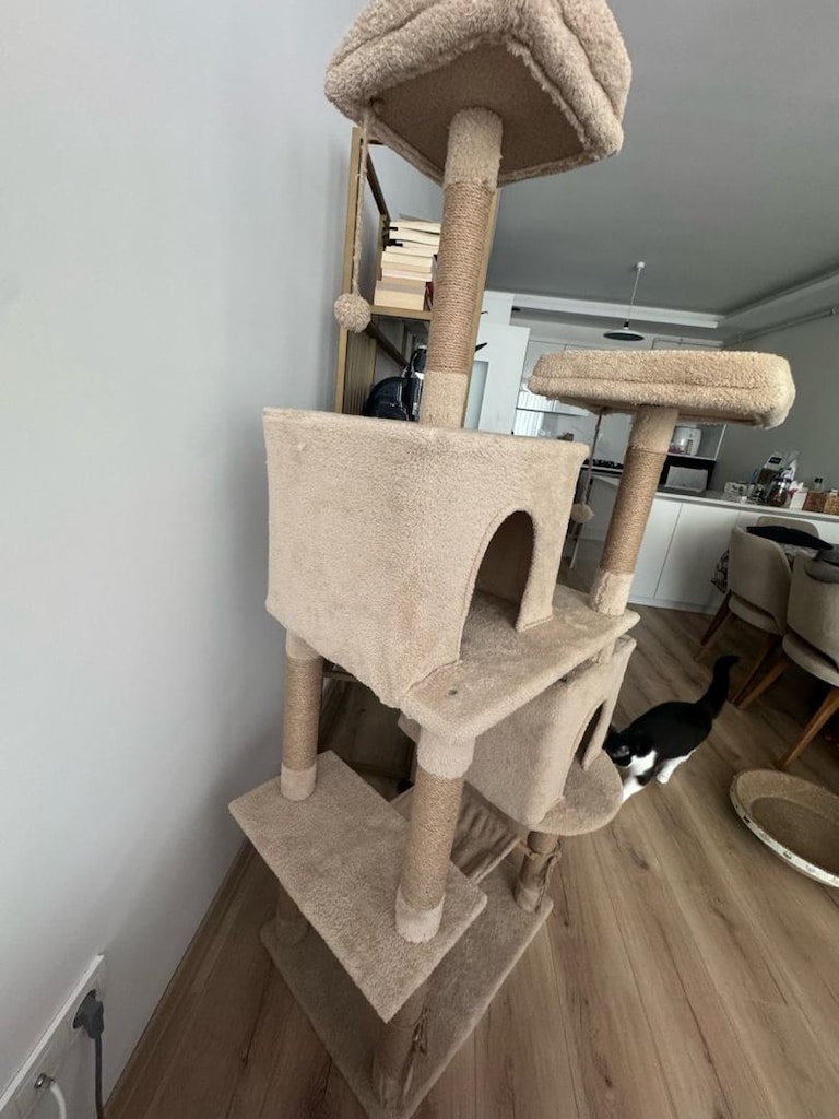 XL kedi evi