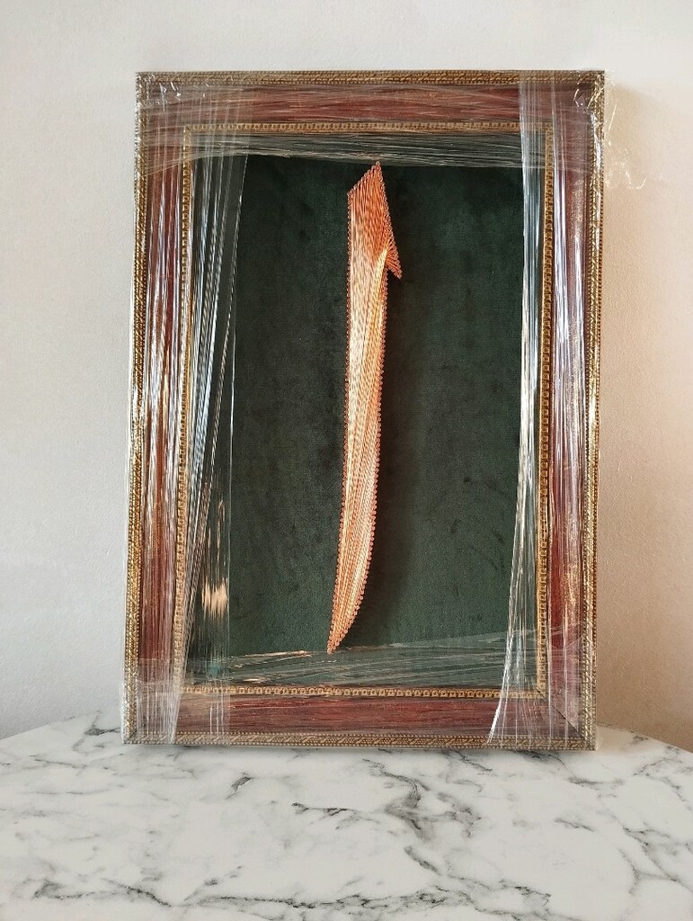 Elif Filografi Tablosu - 2