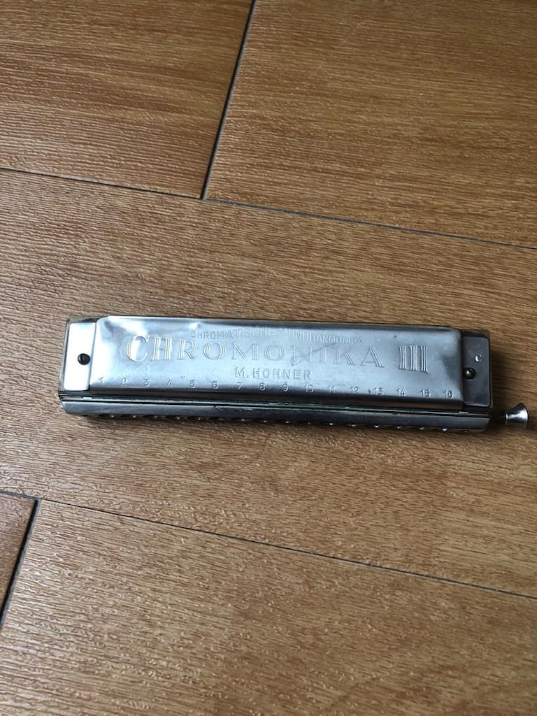M.Hohner mızıka - 2
