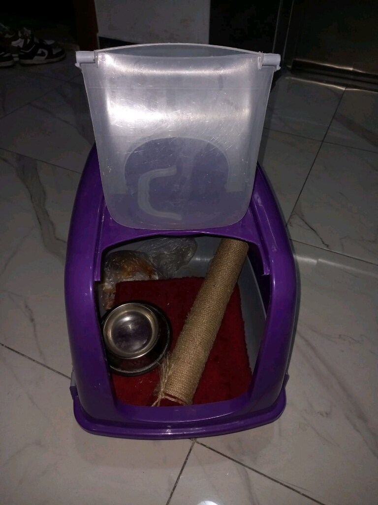 kapaklı kedi tuvaleti - 3