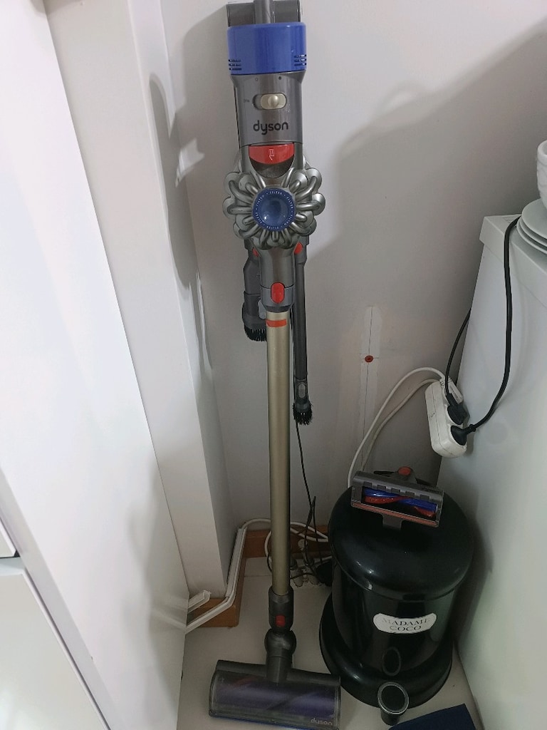 Dyson v8 animal