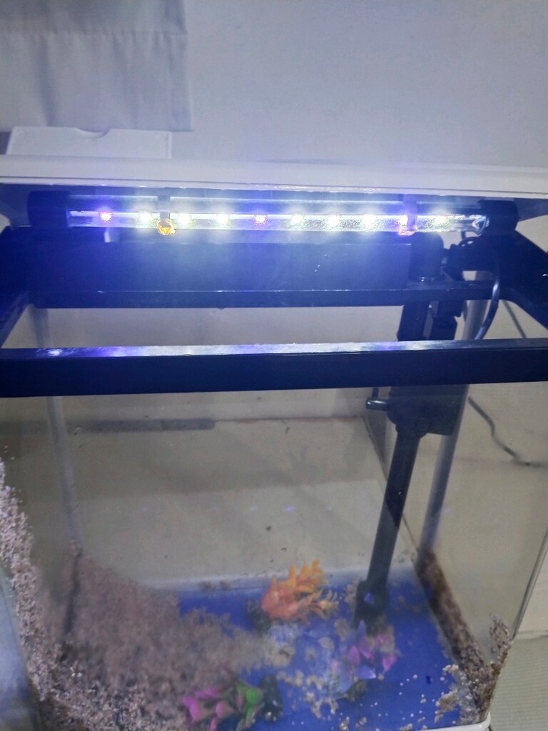 akvaryum Yeni şık model - 3