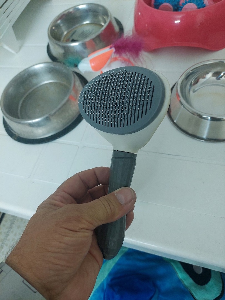 . Kedi tuvaleti,kedi tarağı. Kedi tablo.Kedi oyuncağı,mama kabı. - 6