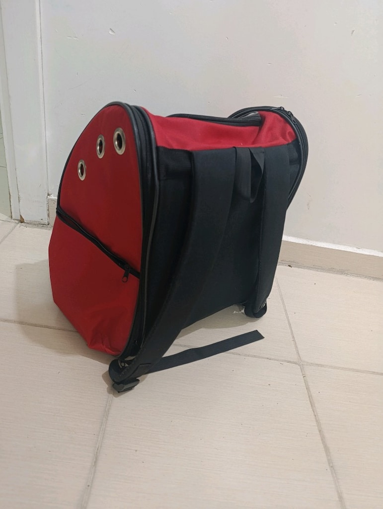 kedi taşıma çantası - 3
