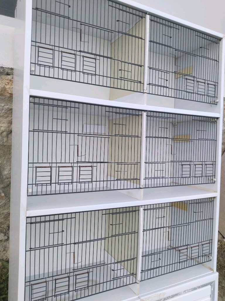 muhabbet kuşu kanarya kafesi bit pire yapmazyıkanabilir. - 8