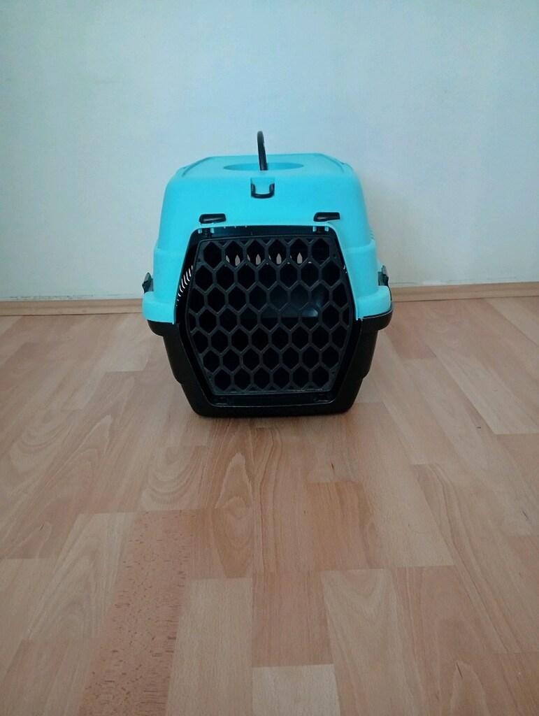 kedi kafesi - 3