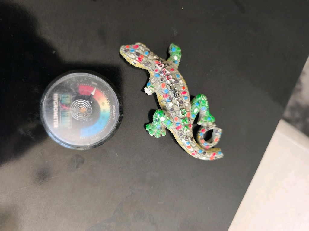 satılık iguana teraryum malzmeleri - 7