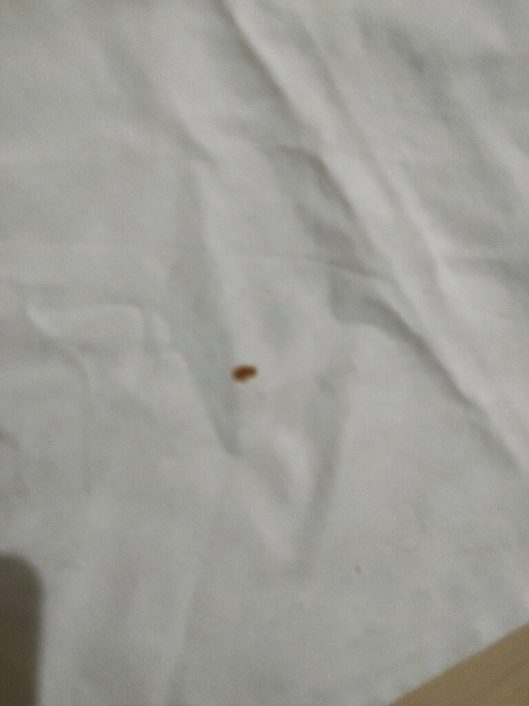 örtü makina nakışı - 6