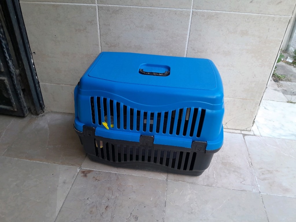 kedi ve köpek için koymak için sağlam kırık yok - 4