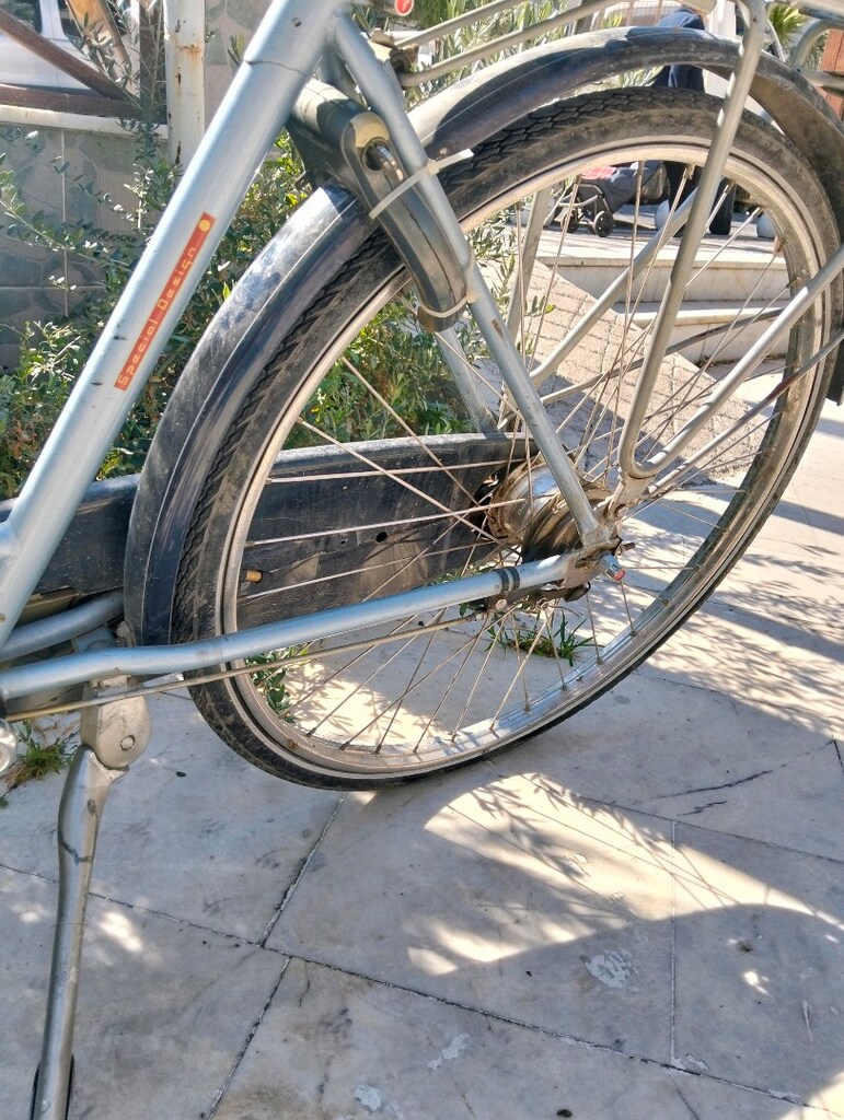 ORJİNAL GAZELLE İNPALA - 8