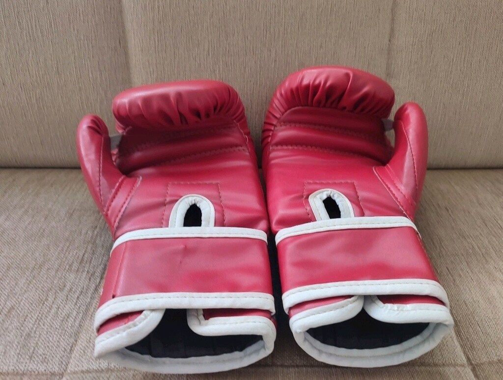 The Iron Profesional 10 OZ boks eldiveni temizdir - 3
