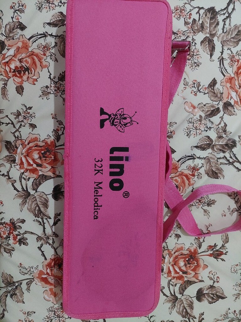 Lıno Müzik aleti - 2
