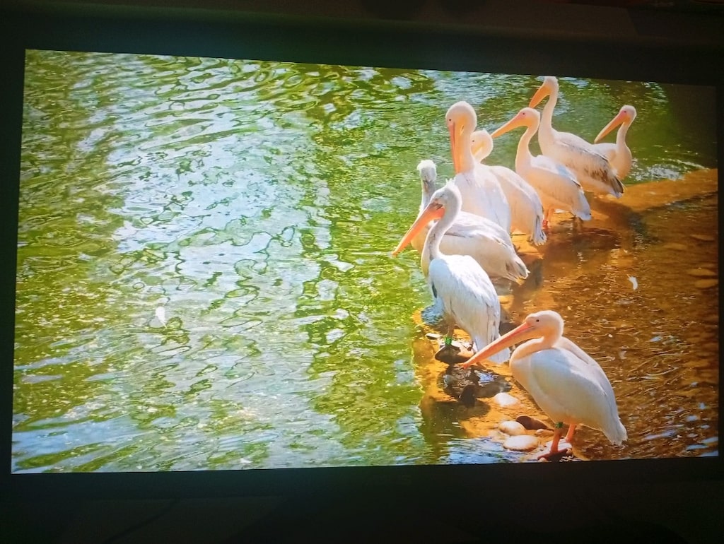hazır sistem monitör tüm ekipmanlar dahil kulaklık mouse klavye - 2