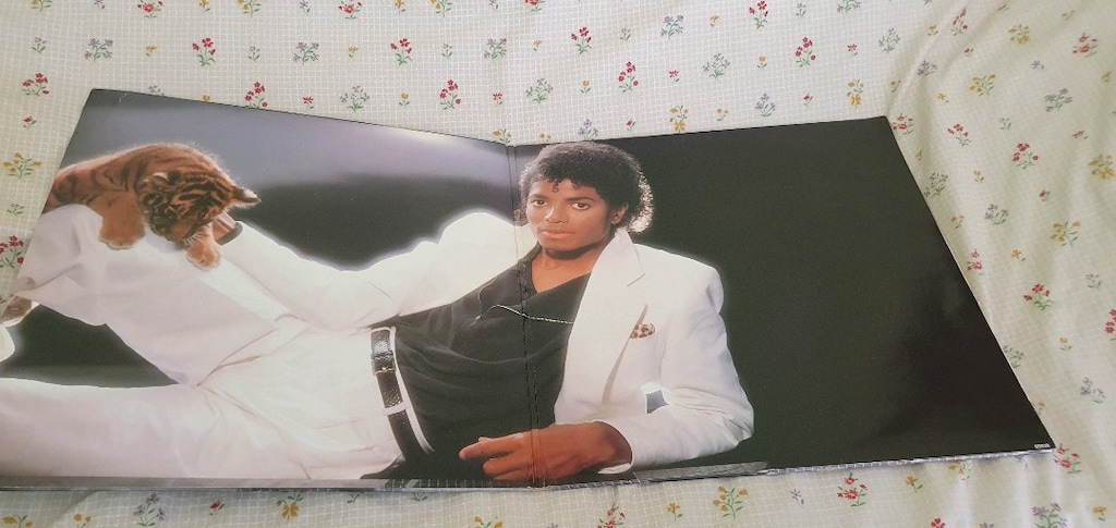 Michael Jackson büyük plak albümü - 3